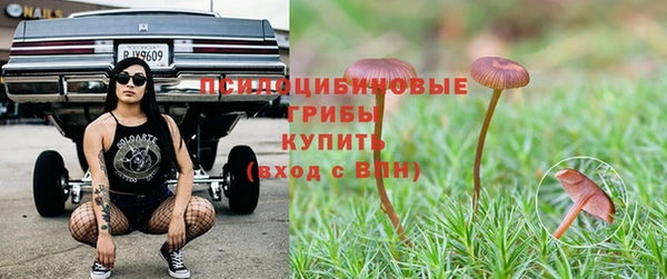 jwh Алзамай