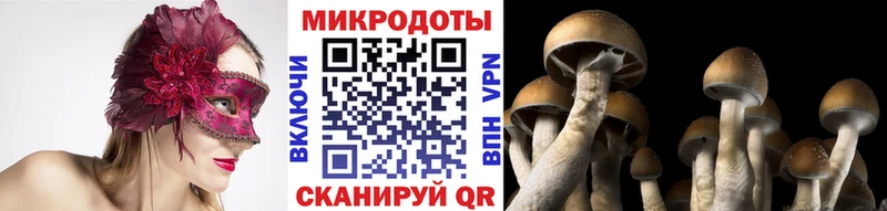 OMG ТОР  Талдом  Псилоцибиновые грибы MAGIC MUSHROOMS  где можно купить наркотик 